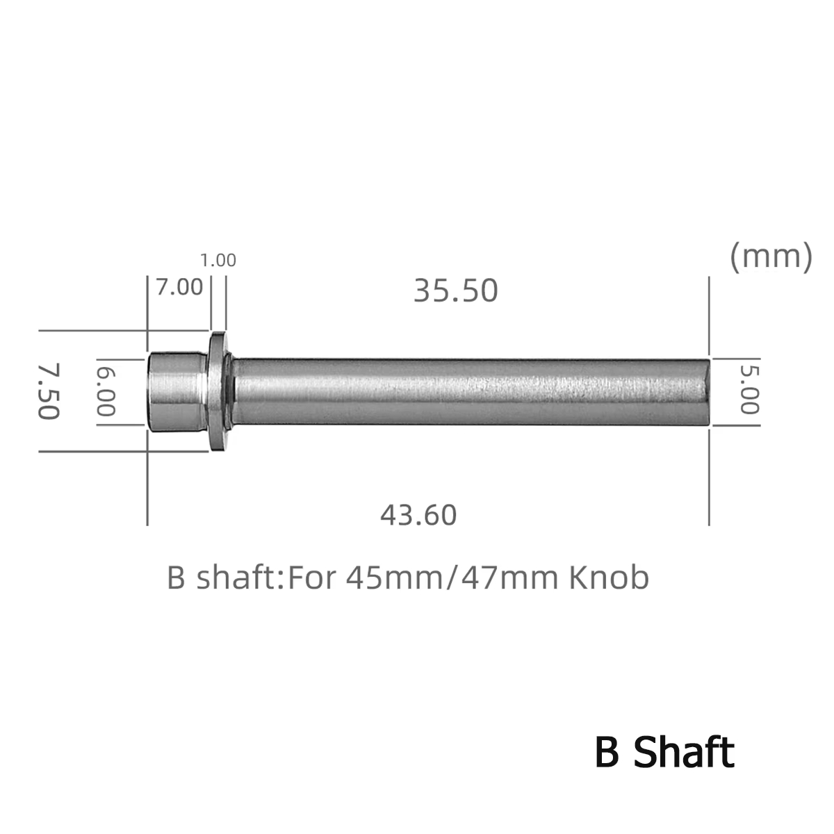 Albero e cuscinetto in lega Go - Shimano Reel Stradic recensione e prezzo